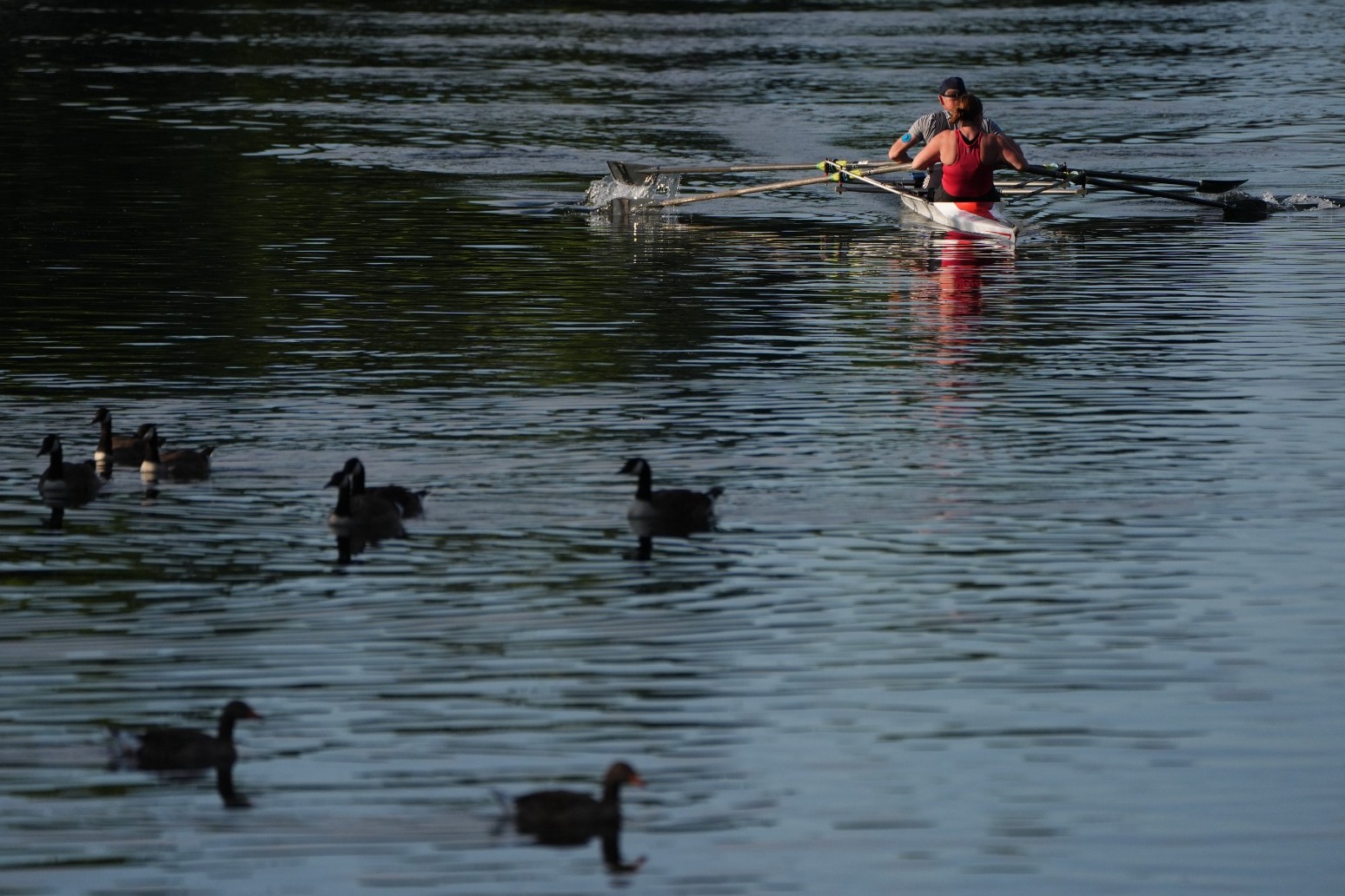 Amber Heat Health Alerts Extended As June Ends With One Of Its Hottest Days Ever