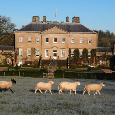 Plans Unveiled For New Events Space At Kings Foundation Headquarters