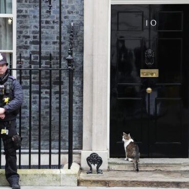 Police Receive Misconduct In Public Office Reports After Mandelson Allegations