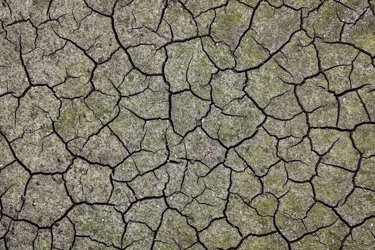 Drought Declared In Yorkshire Amid Low Reservoir And River Levels
