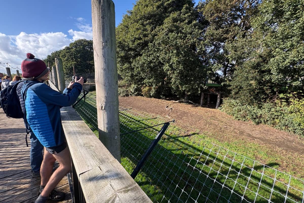 Visitors Return To Yorkshire Wildlife Park Six Days After Man Killed By Tiger