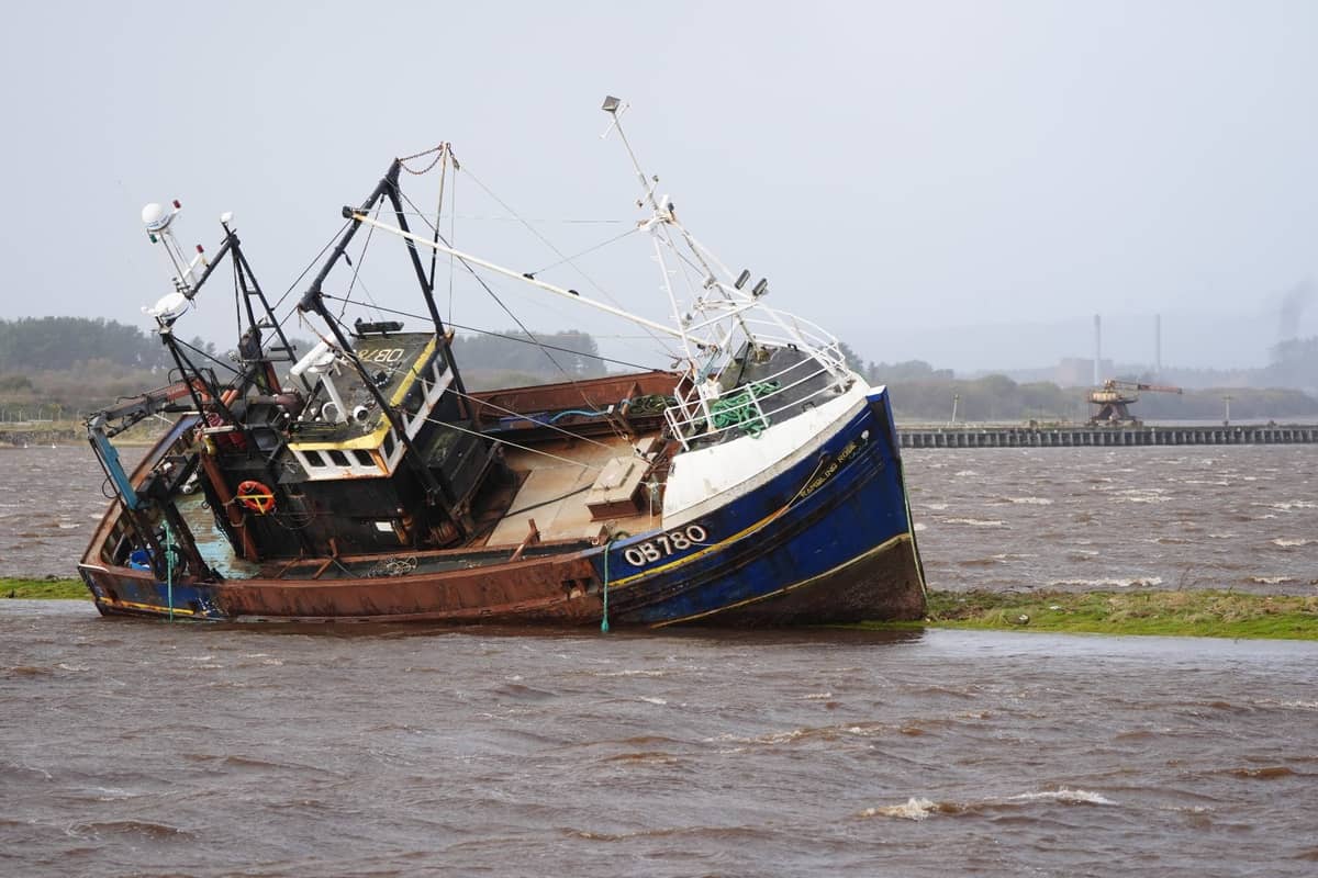 Man Killed By Falling Tree In Storm Boelo