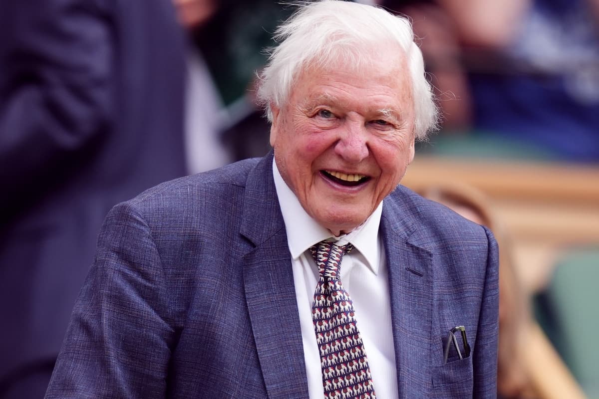 David Attenborough Thanks Public After Moorland Estate Saved For Nature