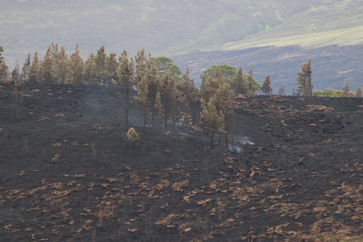 Firefighters Leave Scene Of Cairngorms Wildfire After Nearly Five Weeks