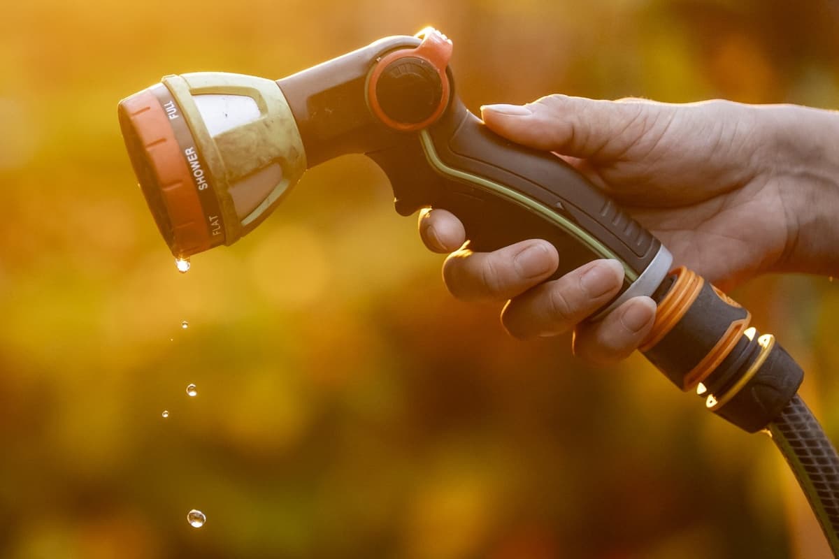 Wessex Water Announces Hosepipe Ban For First Time In 50 Years