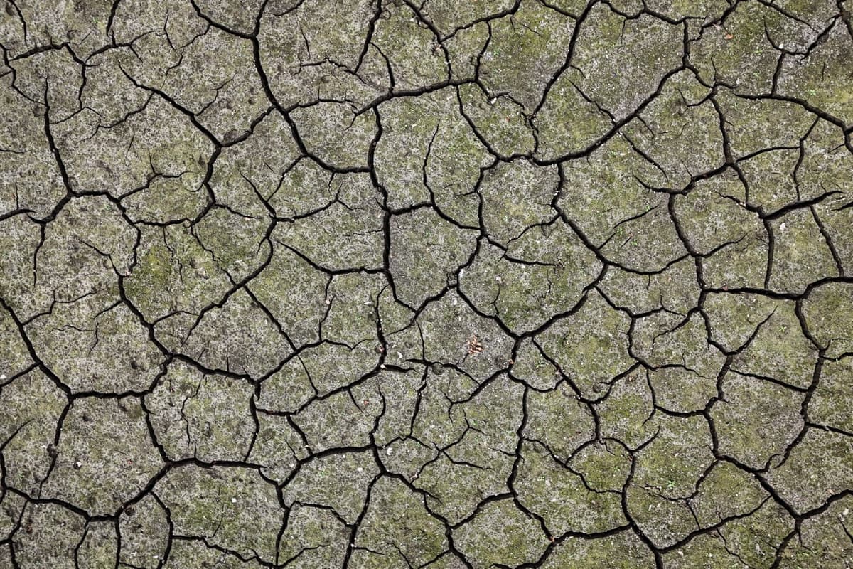 Drought Declared In Yorkshire Amid Low Reservoir And River Levels
