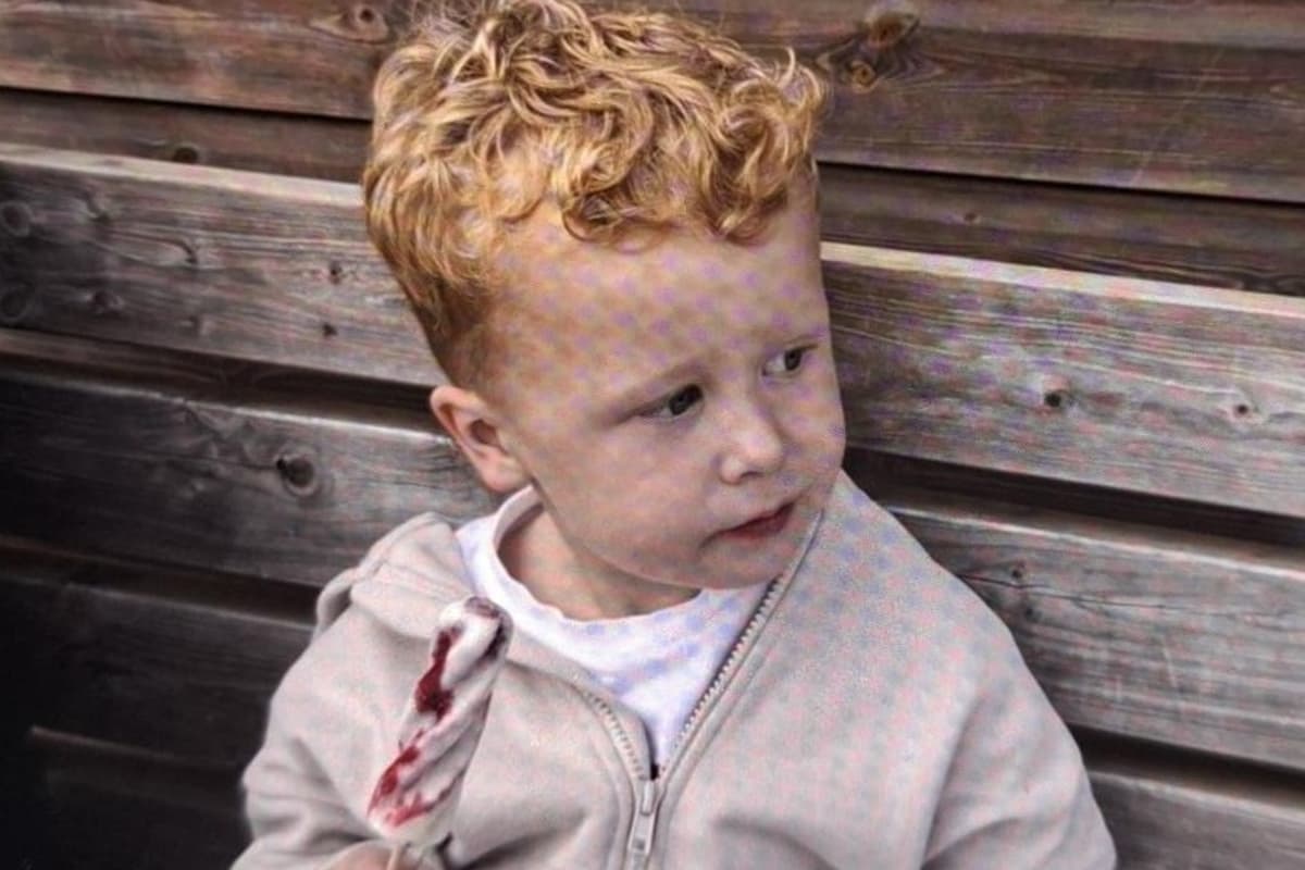 Search Continues For Missing Three Year Old Boy
