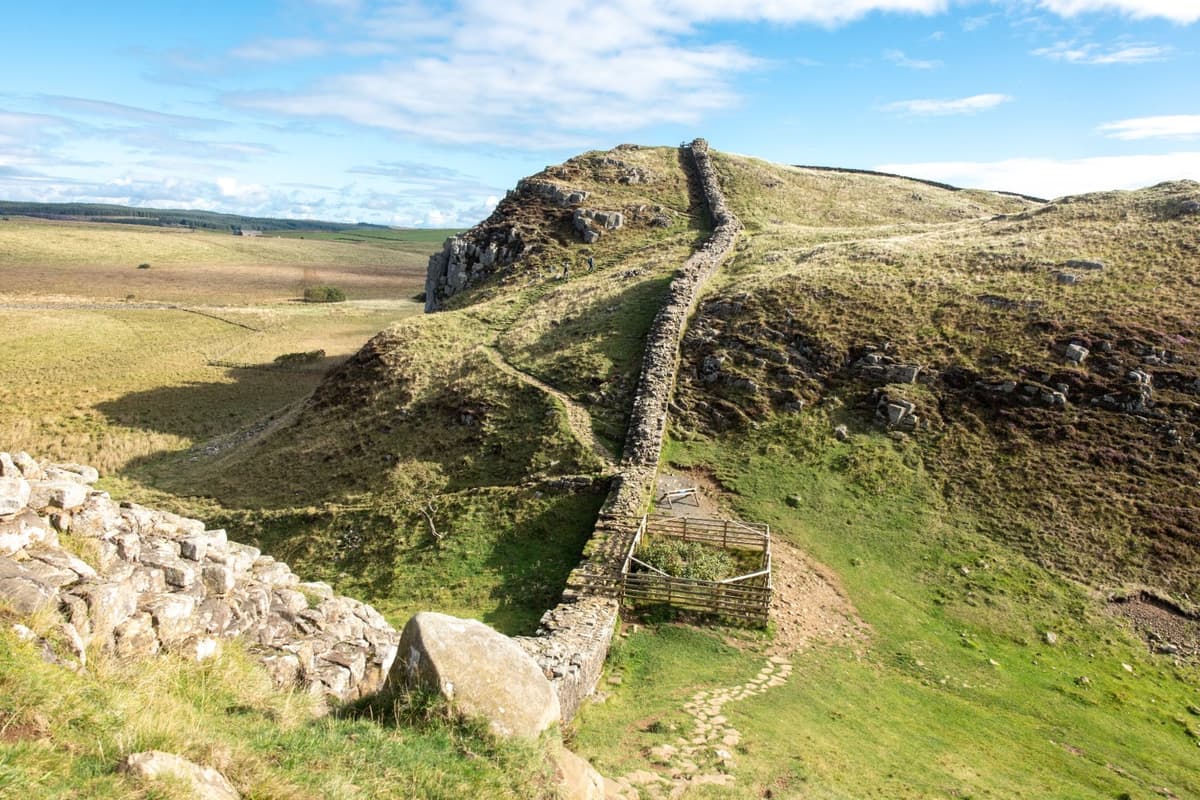 Sycamore Gap Stump Shows Ring Of Shoots Three Years On From Felling