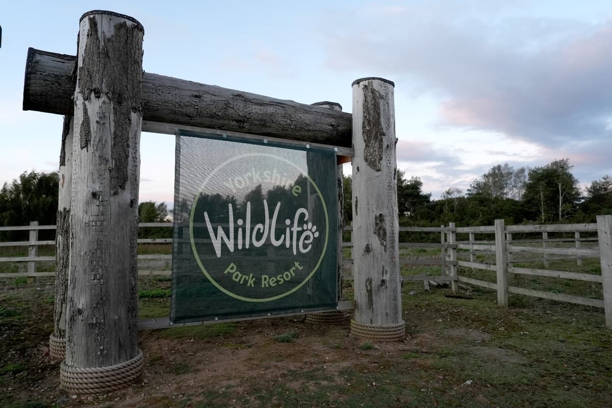 Yorkshire Wildlife Park Expected To Open After Fatal Tiger Attack