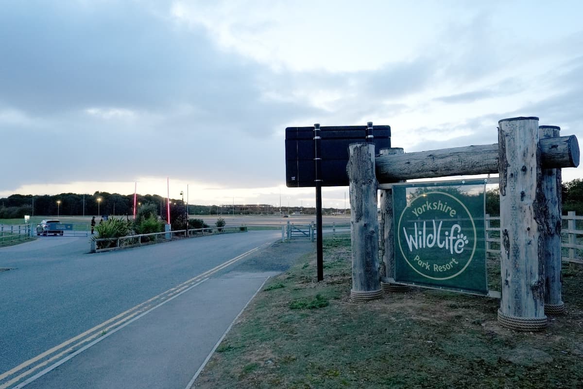 Man Dies After Entering Tiger Enclosure At Yorkshire Wildlife Park