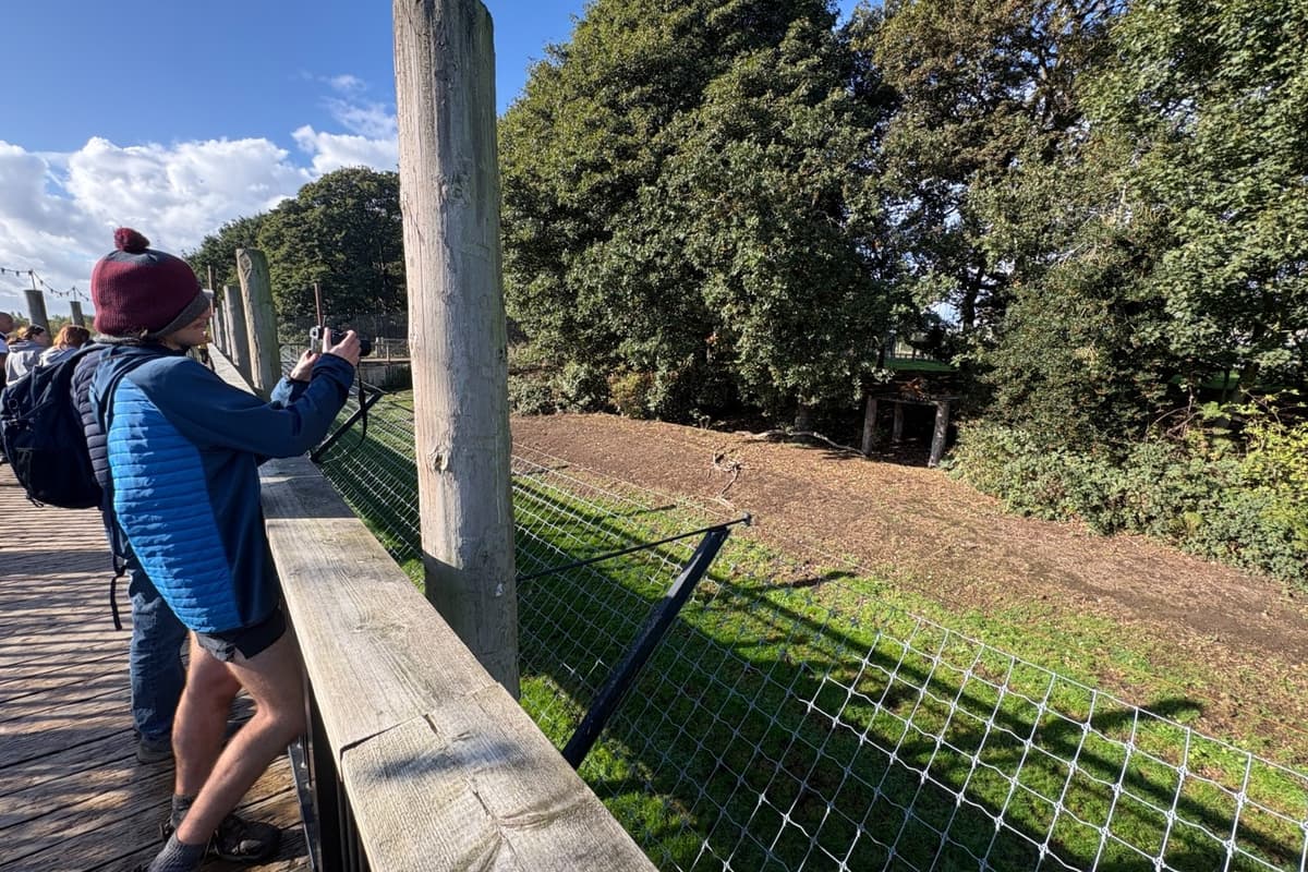 Visitors Return To Yorkshire Wildlife Park Six Days After Man Killed By Tiger