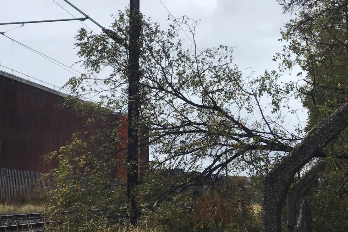 Schools Shut And Travel Disruption As Windy Weather Sweeps Scotland After Storm