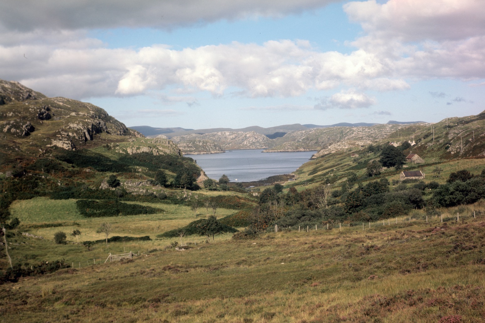 Concern over pace of rewilding in Scotland