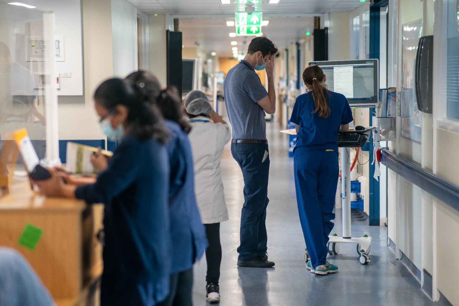 NHS hospitals plagued by rats cockroaches and silverfish staff say