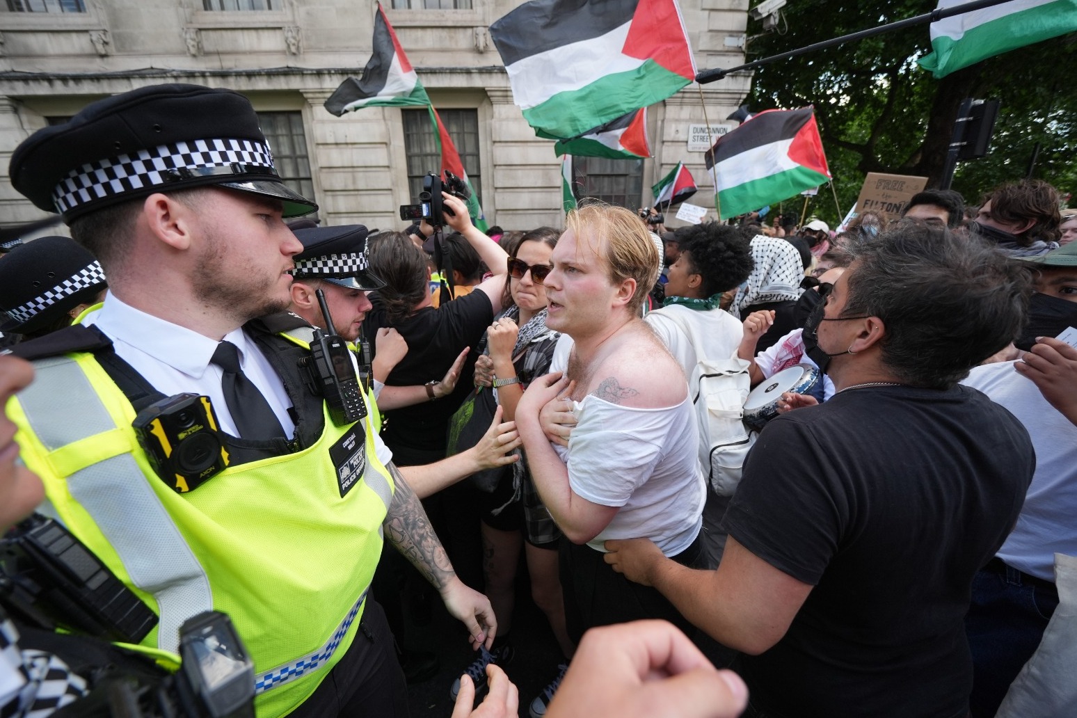 Seven charged after protesters clash with police at Palestine Action rally