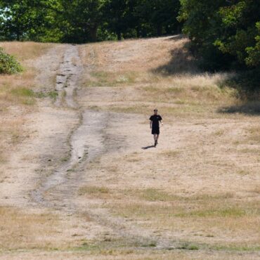 At Least 1147 Died From Climate Driven Heat In UK This Summer