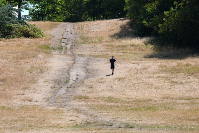 At Least 1147 Died From Climate Driven Heat In UK This Summer
