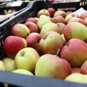 Eating Fruit Could Slash Effects Of Air Pollution On The Lungs