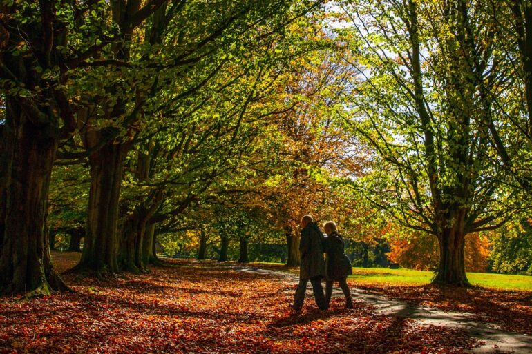 Women Walking 4000 Steps Once Or Twice A Week Cuts Risk Of Early Death By 26