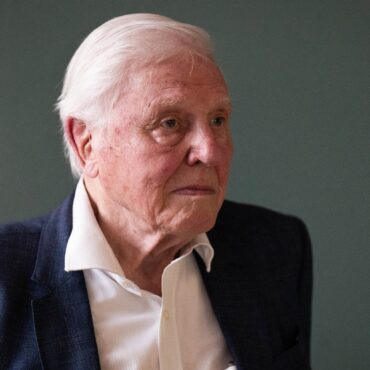 David Attenborough Backs Bid To Save Vast Upland Estate For Nature And Nation