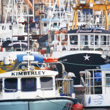 Post Brexit Law Failing To Help Fish Stocks And Communities Government Warned