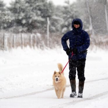 Coldest Night Of Season Recorded In Most Of UK As Snow Forces School Closures