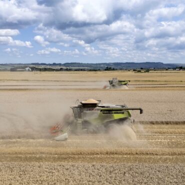 60 Of Farmers At Financial Risk From Supermarket Buying Behaviour  Survey