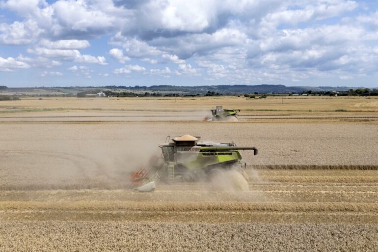 60 Of Farmers At Financial Risk From Supermarket Buying Behaviour  Survey