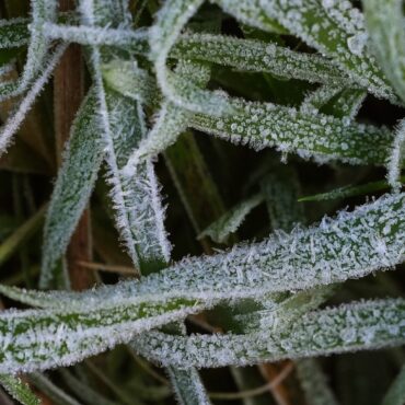 Cold Health Alert Issued For Christmas Day