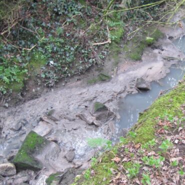 Water Firm Fined For Polluting Stream With Sewage Three Times In A Year